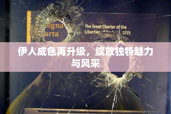 伊人成色再升级，绽放独特魅力与风采
