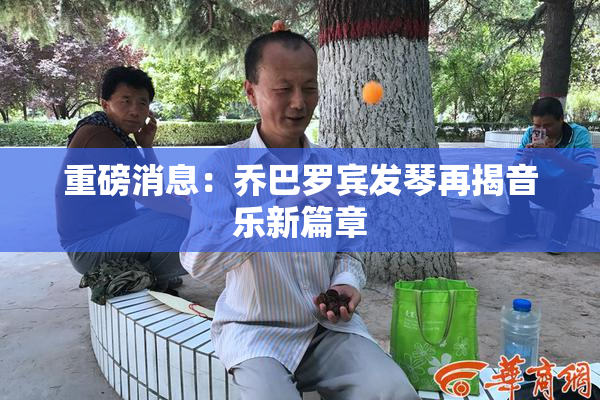 重磅消息：乔巴罗宾发琴再揭音乐新篇章