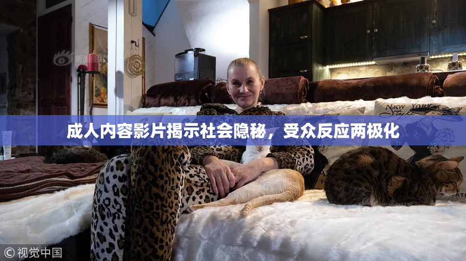成人内容影片揭示社会隐秘，受众反应两极化