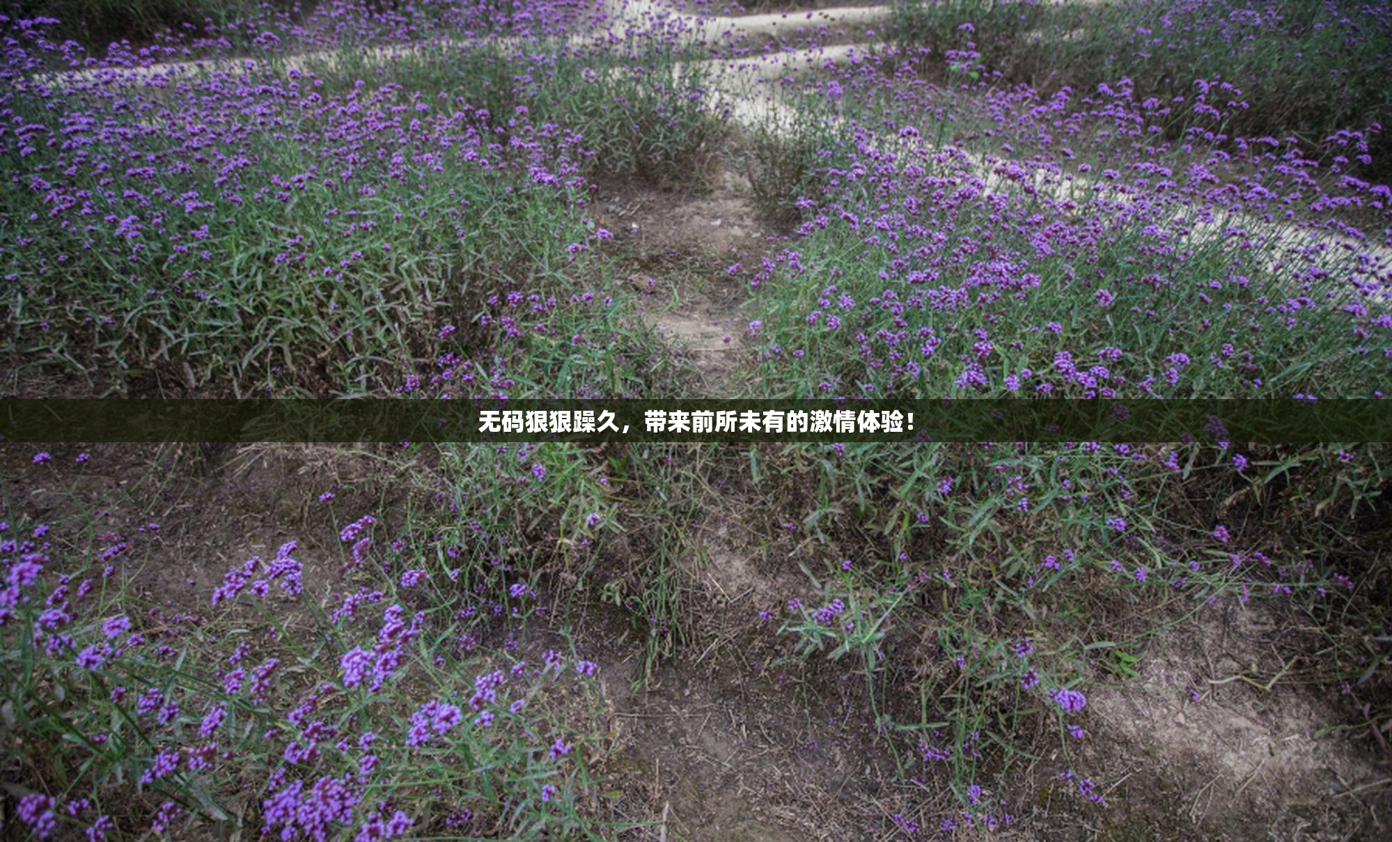 无码狠狠躁久，带来前所未有的激情体验！