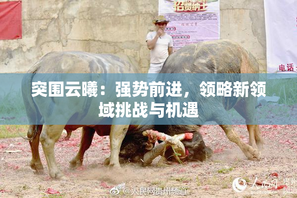 突围云曦：强势前进，领略新领域挑战与机遇