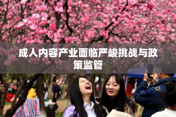 成人内容产业面临严峻挑战与政策监管