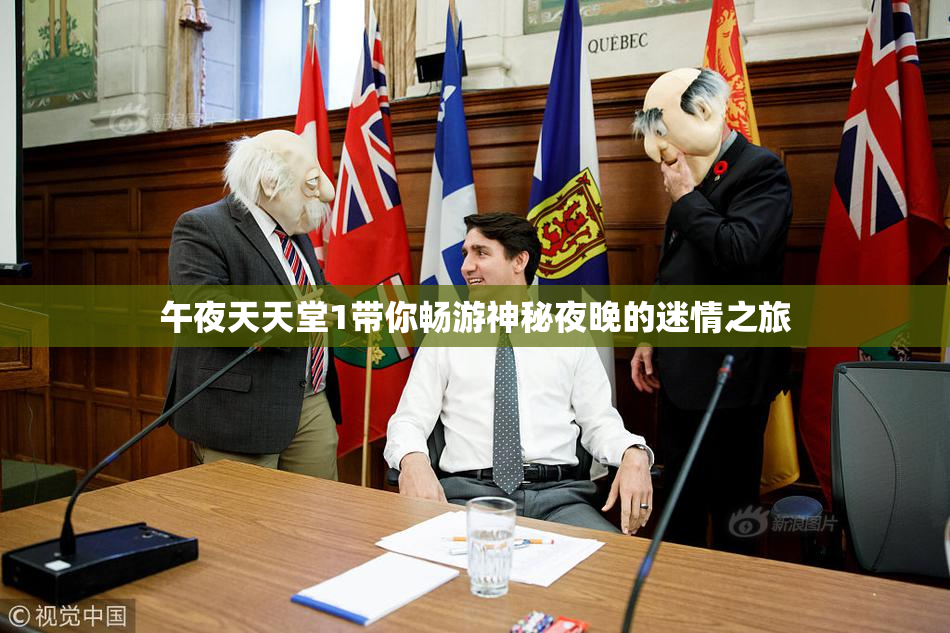 午夜天天堂1带你畅游神秘夜晚的迷情之旅