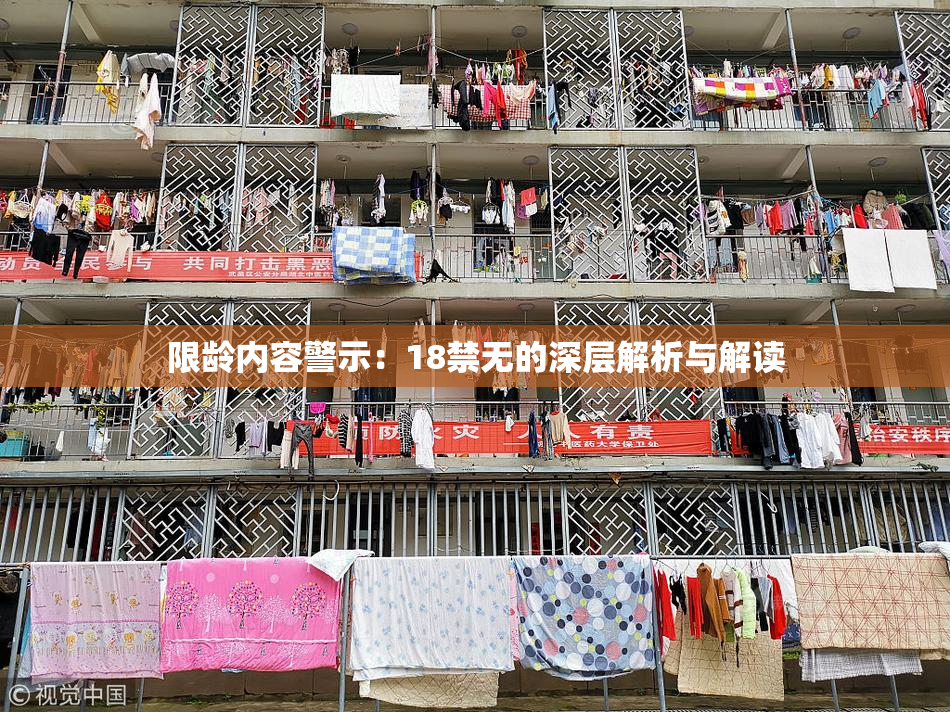 限龄内容警示：18禁无的深层解析与解读