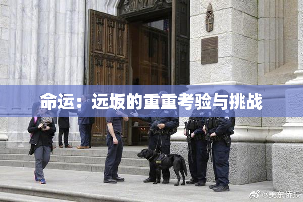 命运：远坂的重重考验与挑战