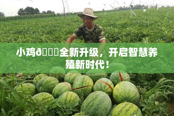 小鸡🐔全新升级，开启智慧养殖新时代！