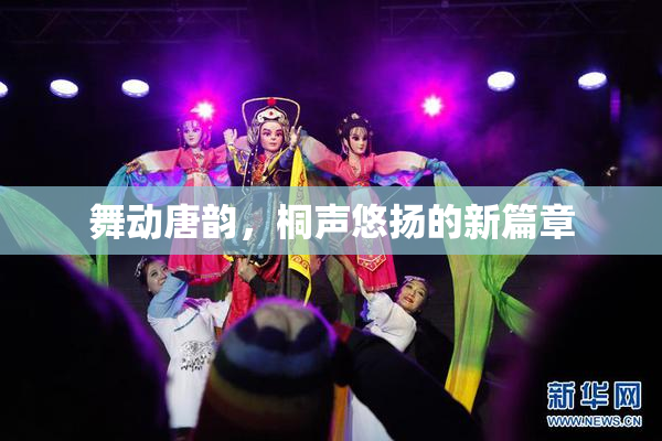 舞动唐韵，桐声悠扬的新篇章