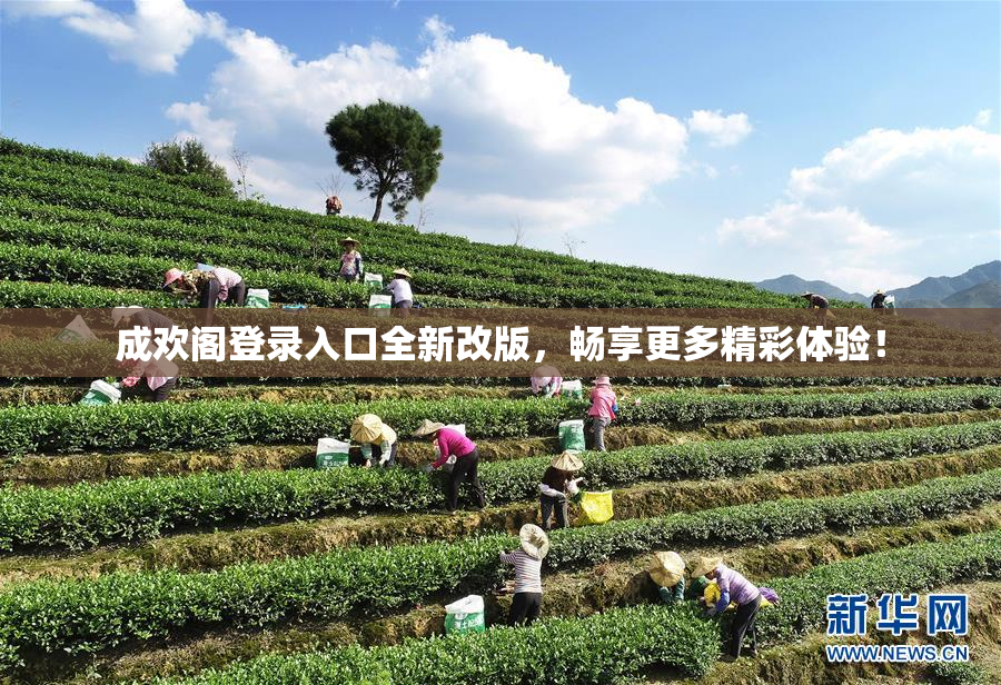 成欢阁登录入口全新改版，畅享更多精彩体验！