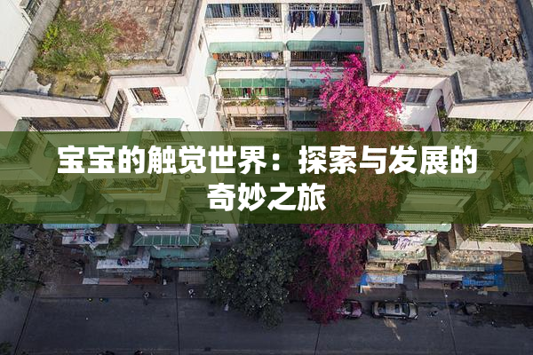 宝宝的触觉世界：探索与发展的奇妙之旅