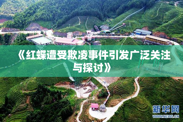 《红蝶遭受欺凌事件引发广泛关注与探讨》