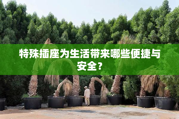 特殊插座为生活带来哪些便捷与安全？
