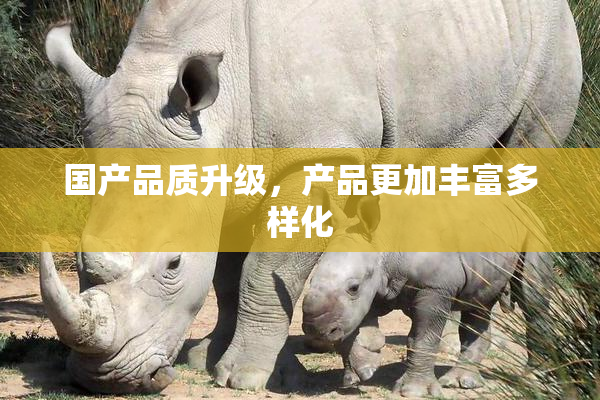 国产品质升级，产品更加丰富多样化