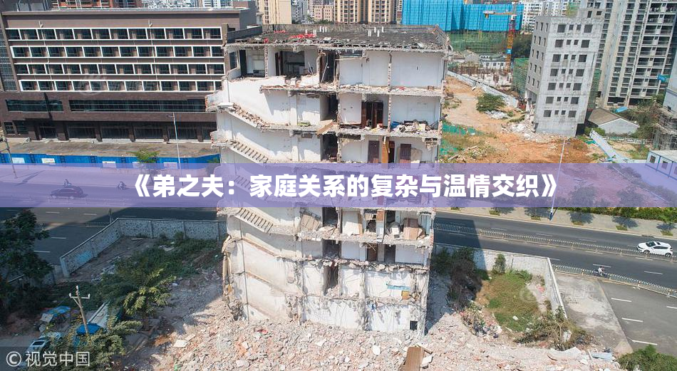 《弟之夫：家庭关系的复杂与温情交织》