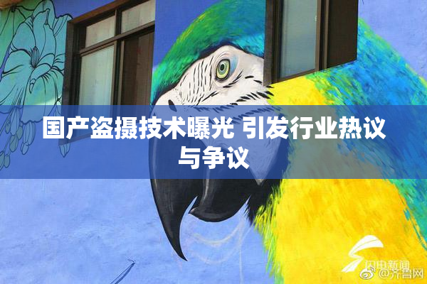 国产盗摄技术曝光 引发行业热议与争议