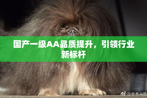 国产一级AA品质提升，引领行业新标杆