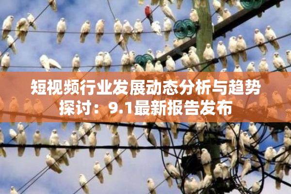 短视频行业发展动态分析与趋势探讨：9.1最新报告发布