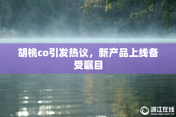 胡桃co引发热议，新产品上线备受瞩目