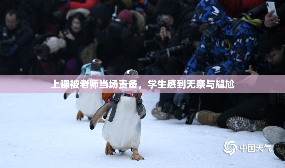 上课被老师当场责备，学生感到无奈与尴尬