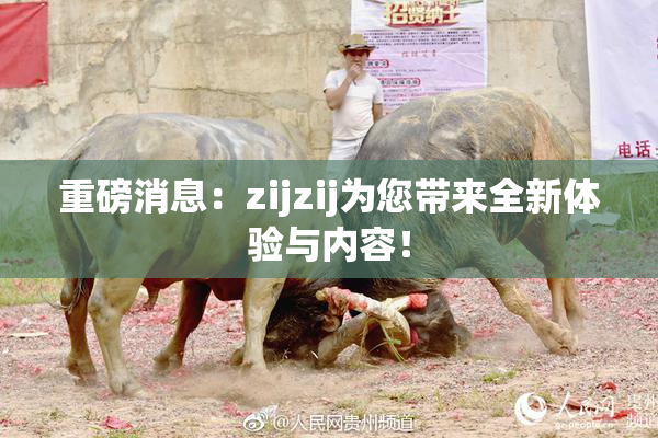 重磅消息：zijzij为您带来全新体验与内容！