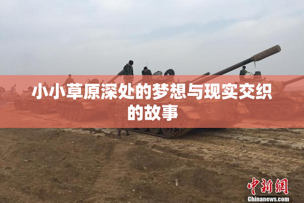 小小草原深处的梦想与现实交织的故事