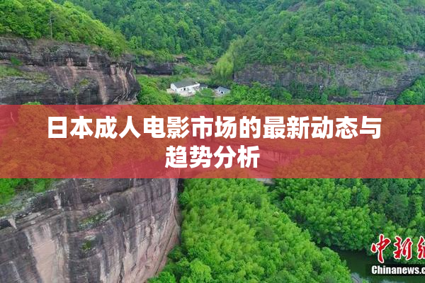 日本成人电影市场的最新动态与趋势分析