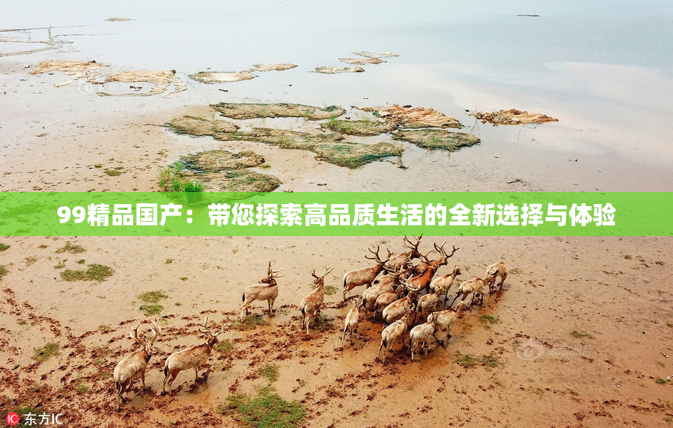 99精品国产：带您探索高品质生活的全新选择与体验