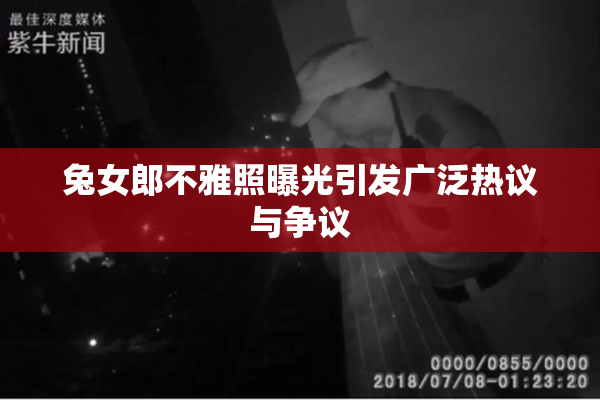 兔女郎不雅照曝光引发广泛热议与争议