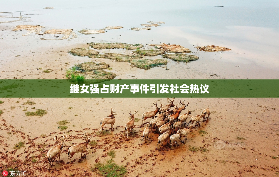 继女强占财产事件引发社会热议