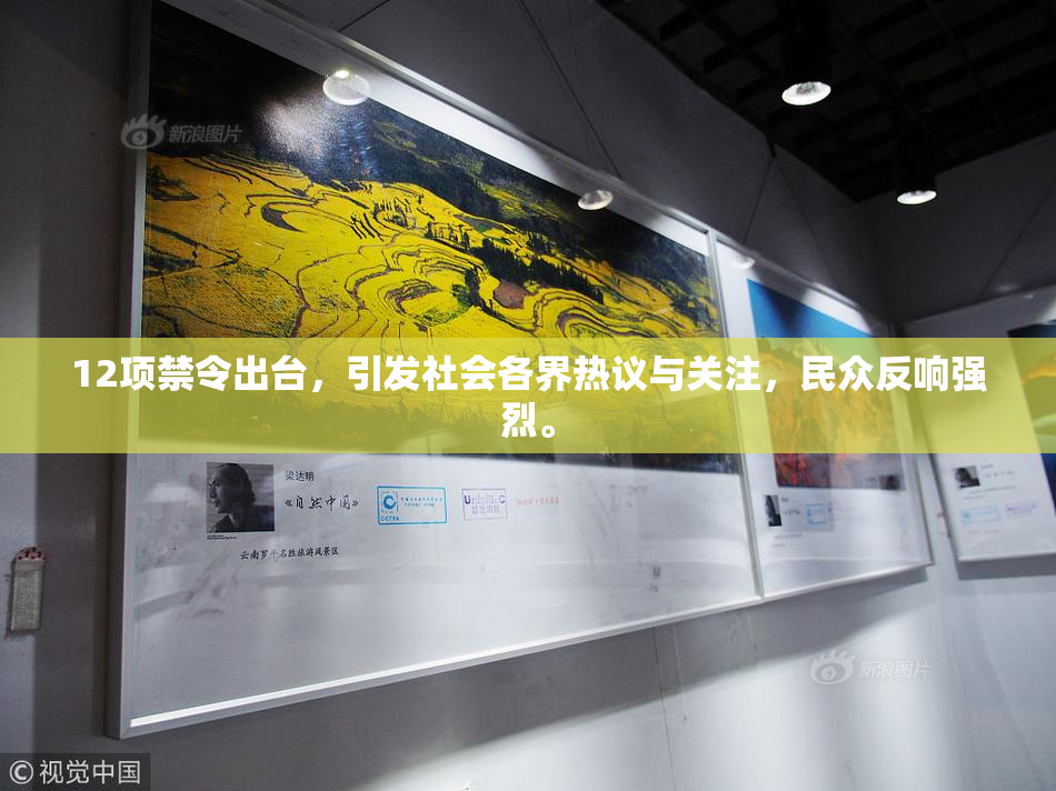 12项禁令出台，引发社会各界热议与关注，民众反响强烈。