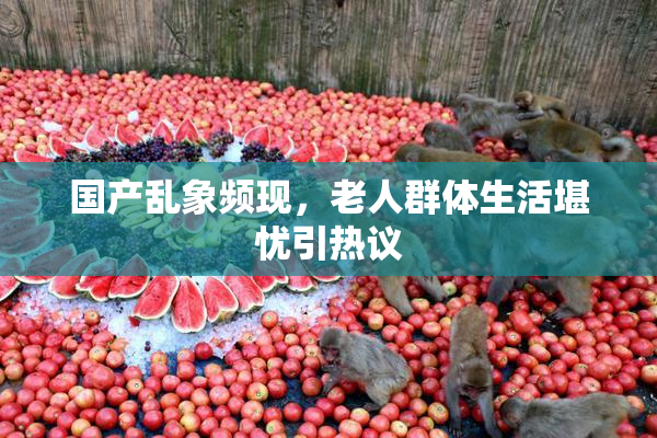 国产乱象频现，老人群体生活堪忧引热议