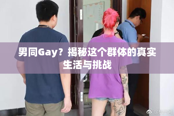 男同Gay？揭秘这个群体的真实生活与挑战