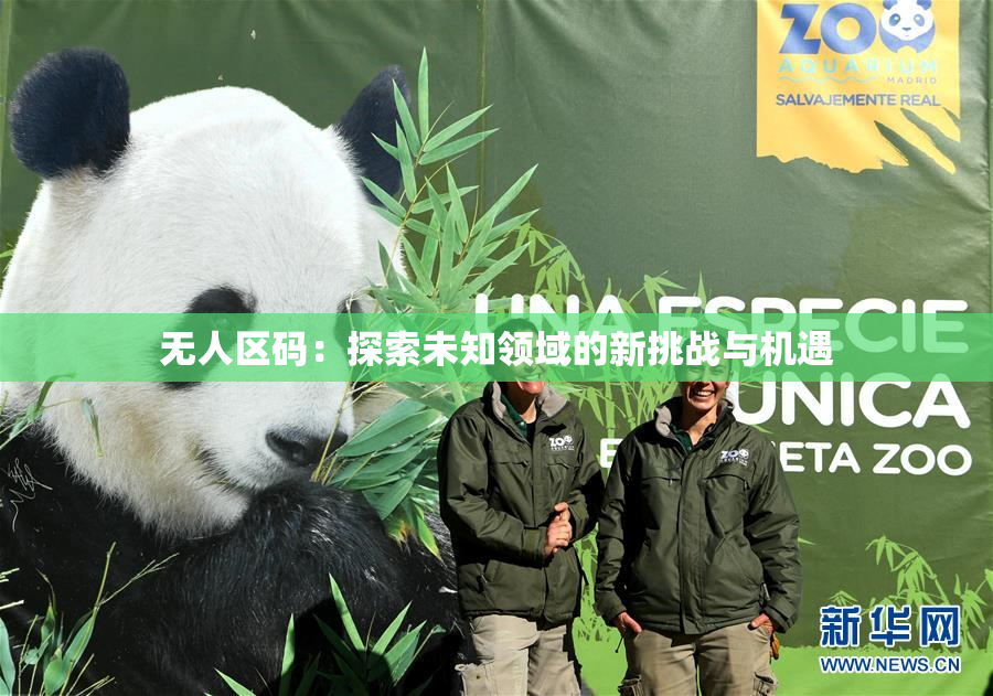 无人区码：探索未知领域的新挑战与机遇