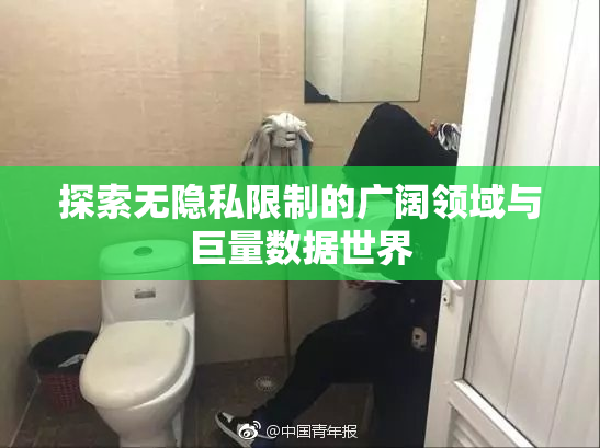 探索无隐私限制的广阔领域与巨量数据世界