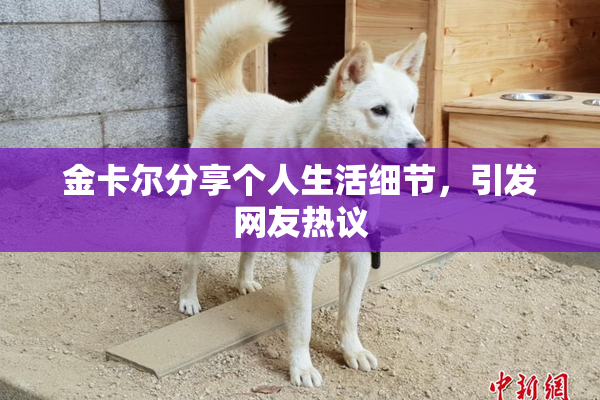 金卡尔分享个人生活细节，引发网友热议