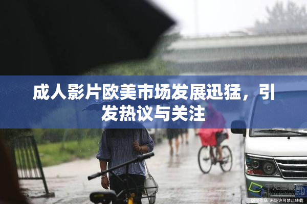 成人影片欧美市场发展迅猛，引发热议与关注