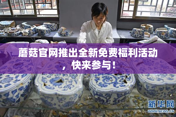 蘑菇官网推出全新免费福利活动，快来参与！
