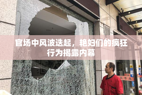 官场中风波迭起，艳妇们的疯狂行为揭露内幕
