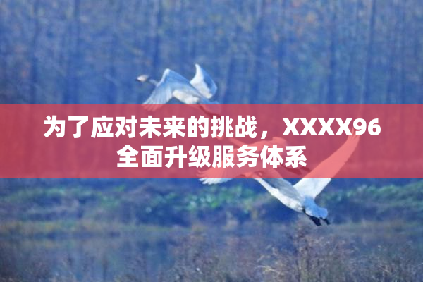 为了应对未来的挑战，XXXX96全面升级服务体系