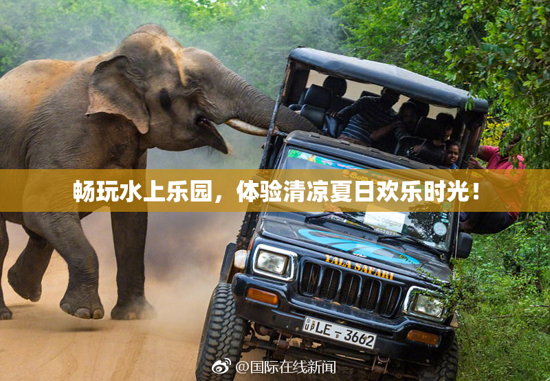 畅玩水上乐园，体验清凉夏日欢乐时光！
