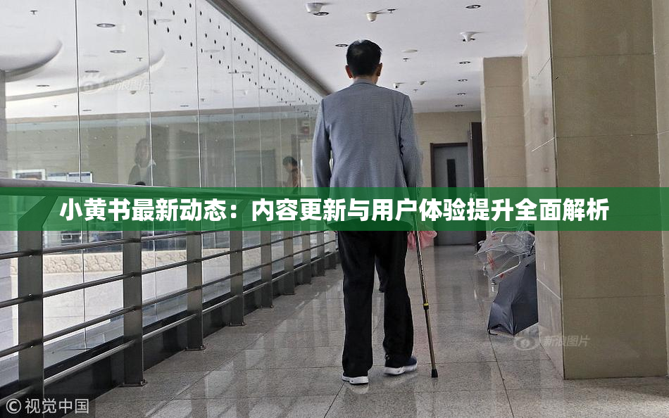 小黄书最新动态：内容更新与用户体验提升全面解析