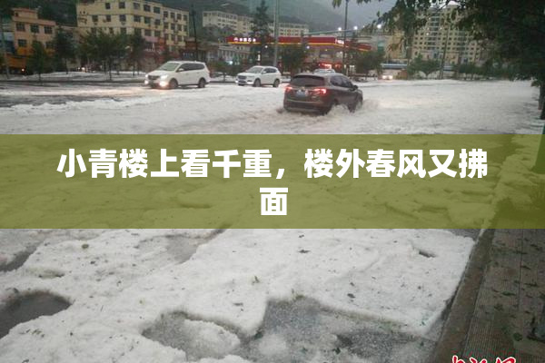 小青楼上看千重，楼外春风又拂面