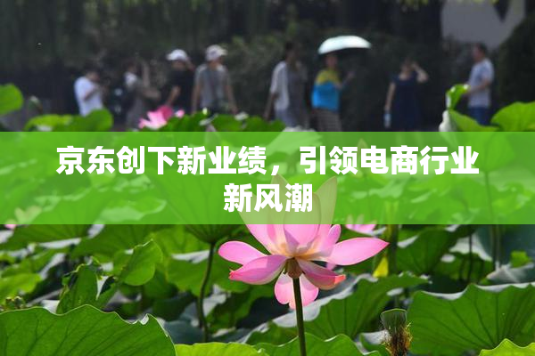 京东创下新业绩，引领电商行业新风潮