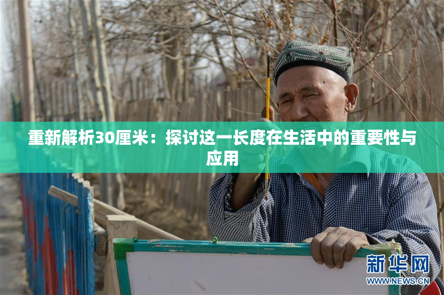重新解析30厘米：探讨这一长度在生活中的重要性与应用