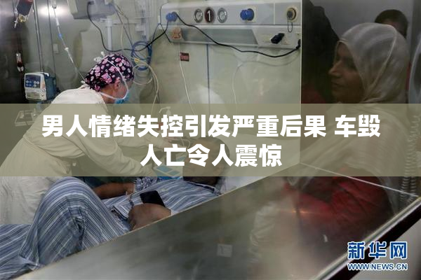男人情绪失控引发严重后果 车毁人亡令人震惊