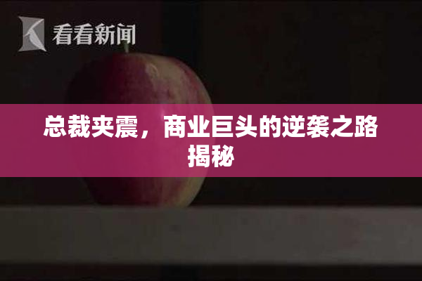 总裁夹震，商业巨头的逆袭之路揭秘