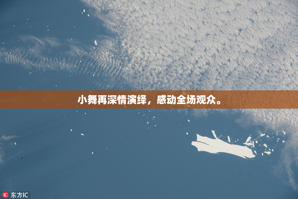 小舞再深情演绎，感动全场观众。