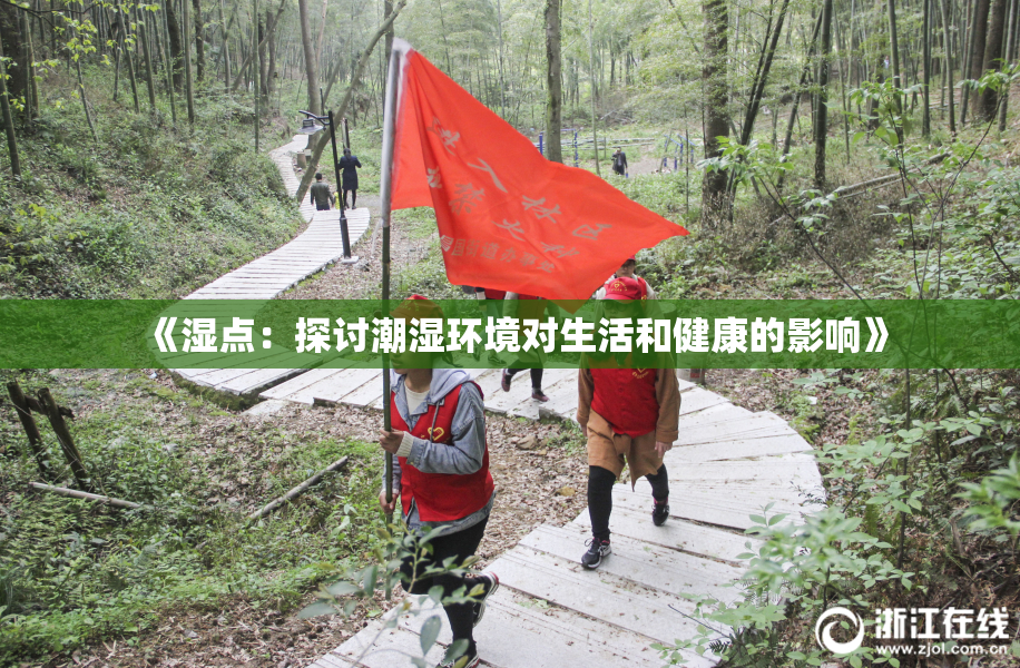 《湿点：探讨潮湿环境对生活和健康的影响》