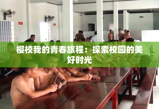 樱校我的青春旅程：探索校园的美好时光