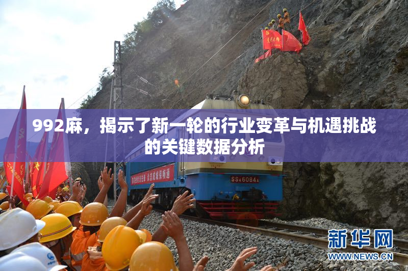 992麻，揭示了新一轮的行业变革与机遇挑战的关键数据分析