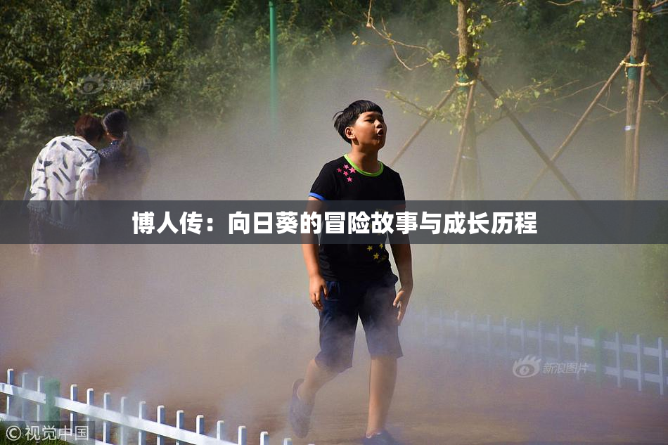 博人传：向日葵的冒险故事与成长历程